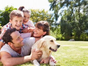 Wichita Pet Wellness: Ensuring Your Furry Friends Thrive