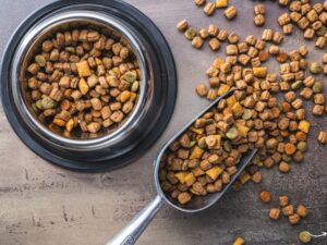 Dave’s Pet Food: Nourishing Your Furry Friends