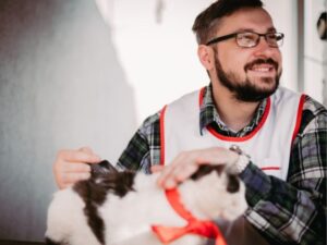 Your Pet’s Lifeline: The Role of an Animal Emergency Hospital