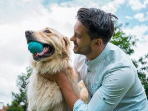 Discover the Best Pet Friendly Hotels for Your Furry Companion