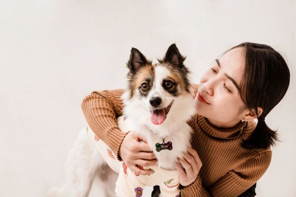 Pet food labels explained