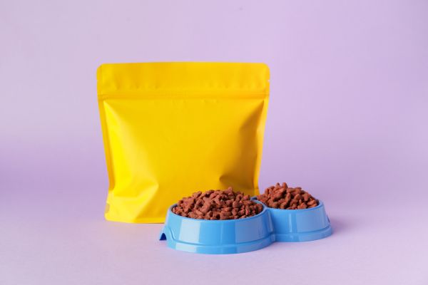 Toxic foods for cats