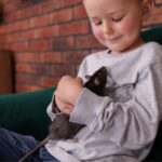 reasons to adopt a rescue pet