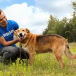 local animal shelter volunteer opportunities