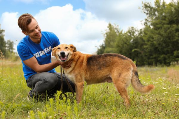 local animal shelter volunteer opportunities