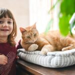 Educational animal videos for children