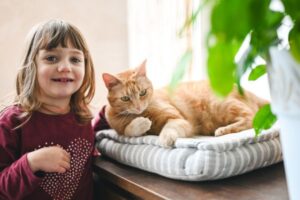 Educational Animal Videos for Children