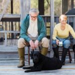 caring for a senior dog at home